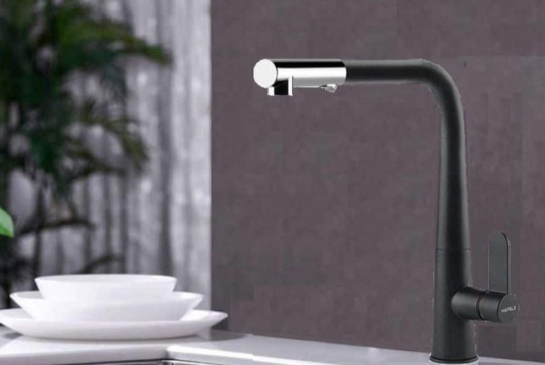 Vòi rửa Häfele HT20-GH1P259 570.82.300