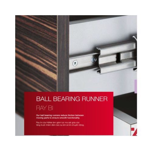 Ảnh thực tế của Ray bi không giảm chấn dài 350mm Hafele 494.02.142