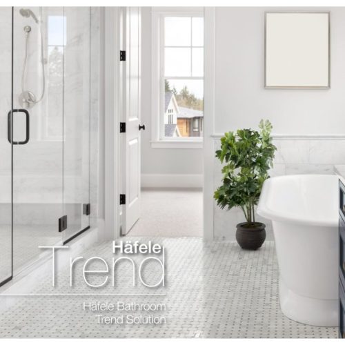 Ảnh thực tế tay nắm phòng tắm kính 450mm Hafele 903.12.371