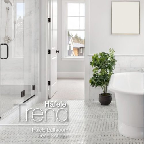 Ảnh thực tế tay nắm phòng tắm kính 500mm Hafele 903.12.373