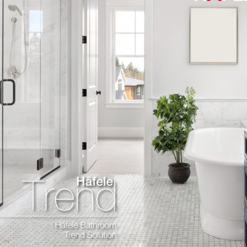 Ảnh thực tế tay nắm phòng tắm kính 550mm Hafele 903.12.375