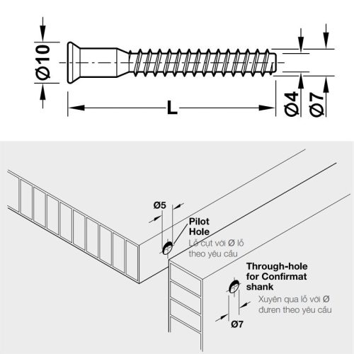 Vít Confirmat 38mm Hafele 264.43.091 3 Kích thước vít Confirmat 38mm Hafele 264.43.091