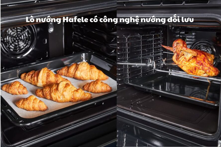 Món ăn được nấu bằng lò nướng Hafele có đối lưu