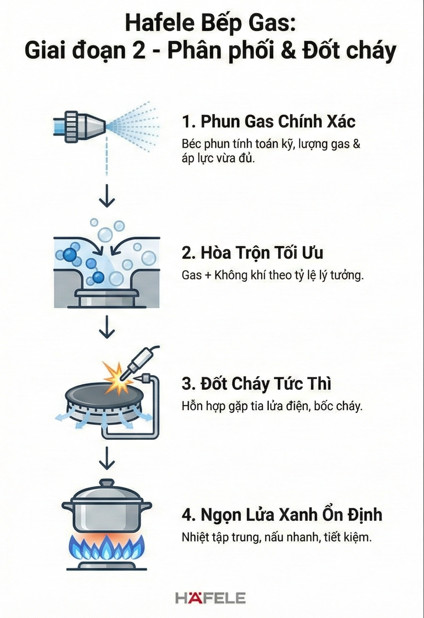 Bếp gas Hafele hoạt động thế nào? 4 Phân phối & đốt cháy khí gas
