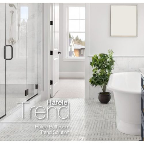 Ảnh tay nắm phòng tắm kính Hafele 903.12.371