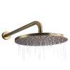 Sen đầu gắn tường Retro Hafele 589.15.390