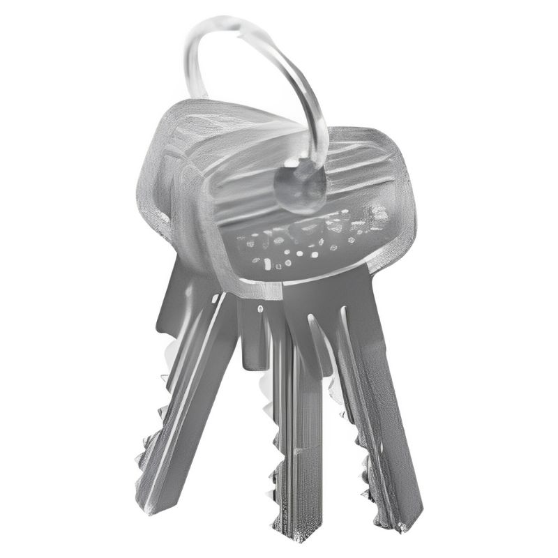 chia-master-key-em-6-pin-hfele-916.66.553.jpg chia master key em 6 pin hfele 916.66.553